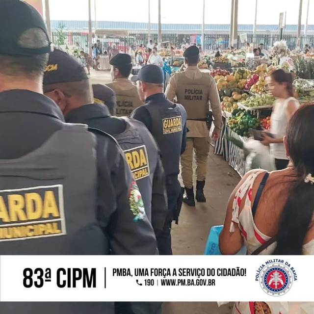 83cipmoperacao84241